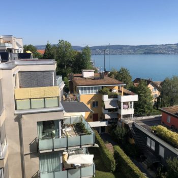 Fensterreinigung und Fassadenreinigung Kilchberg